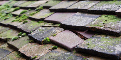 Donington Le Heath roof repair costs